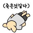 홈리복싱짐 헬스PT 이미지