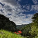 옥룡사지 이미지