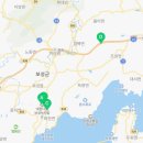 영농조합법인 보성차밭