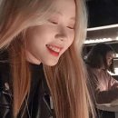 제플린살롱