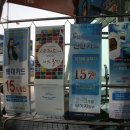 해운대물고기 이미지