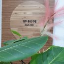 전주동안가발 이미지
