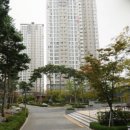 서울연합수치과의원 이미지