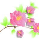 꽃과 꽃라인 아이콘 이미지
