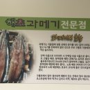 해초과메기양정점 이미지