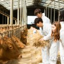 깨끗한농장 이미지