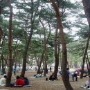 소나무공원 이미지