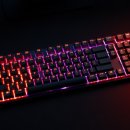 청해하우징 | 독거미 키보드 F99 F87 PRO, 배열 선택 전 꼭 볼 사용 후기