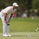 Green Colo 이미지