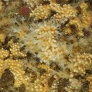 남해-317 이미지