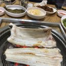 신안바다장어 이미지