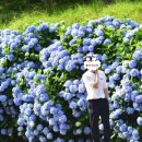 바다의 언덕 호스텔 이미지