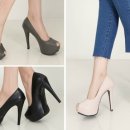 Holly Shop 이미지