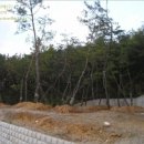 의당면사무소 이미지