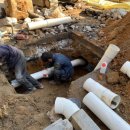 코아&2060 이미지