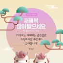 메디홈즈