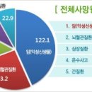 미세스쿡 이미지