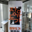 시금털털협동조합 이미지