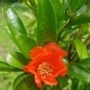 여수바다부동산공인중개사사무소 이미지