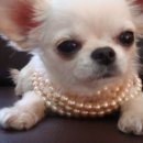 안녕하세요 이미지