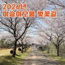 남원읍-3 | 서귀포 남원읍 벚꽃 명소 이승이오름(이승악) | 숨은 벚꽃 터널 실시간 개화 상태 및 방문 팁