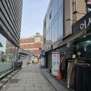 옥정이네 홍어집 | 인사동 35년 한정식: [옥정]- 홍어삼합, 배추전, 해물파전,간장게장(내돈내산)