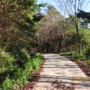 아라메길 (도비마루길) 이미지