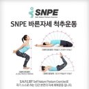 바른자세척추운동(SNPE) 이미지