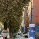 중흥초교 | 전라도 광주 전남대 카페 추천 무월 수제 청 와플 맛집 이벤트