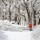 위(WE)호텔 이미지