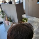 헤어살롱진성 네이버블로그