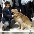 김상기농장 이미지