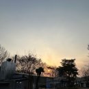 진미숯불구이 이미지
