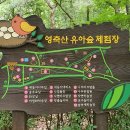 영축산 순환산책로 이미지