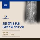 김해축협동물병원 | 김해동물병원 구토·식욕저하로 시작된 샴 고양이의 위급상황, 김해 첫 SUB 수술 사례