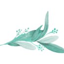 실버스노우