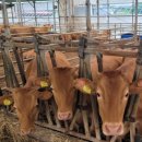 상생축산 이미지