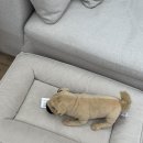 혜영목장 이미지