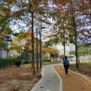 광주 천변길2 이미지