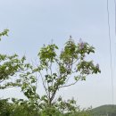 두두2리경로당 | 강화나들길 6코스(화남생가길) 등 _ 2023.05.21 (일)