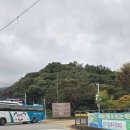 하늘숲초등학교 | [광주] 따끈따끈한 10/18 화담숲 단풍 현황! 주차/예약 꿀팁부터 코스까지 싹쓰리!