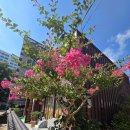 깨달음 이후 빨랫감~~~中 이미지