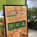 여우피씨 | 영등포 아기랑 가볼만한 곳 비오는 날 실내 동물체험 추천