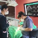 포샤르플란트치과의원 이미지