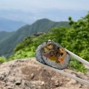 나드리김밥 평리점 이미지