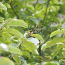 구산보건지소 이미지