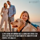 다비치보청기 명일역점 이미지