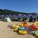 거제투어하우스 이미지