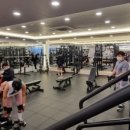 피트니스 인앤스타 이미지