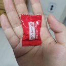 성윤카 | 능소화와 함께한 유월